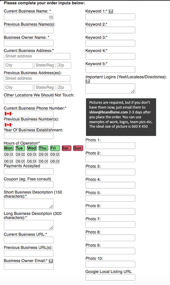 Local Listings Service Intake Form Screenshot for Clients