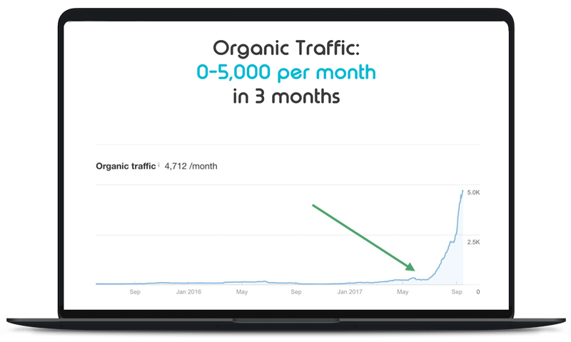 BrandLume Managed SEO Case Study 1