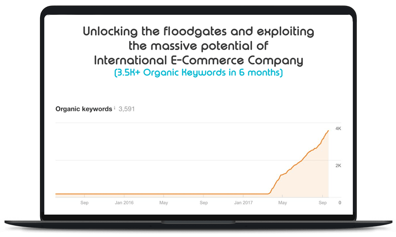 BrandLume Managed SEO Case Study 3