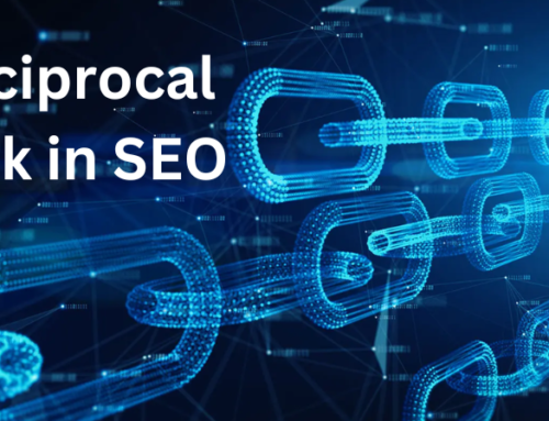 What is Reciprocal Link in SEO: Beginner’s Guide to Link Building